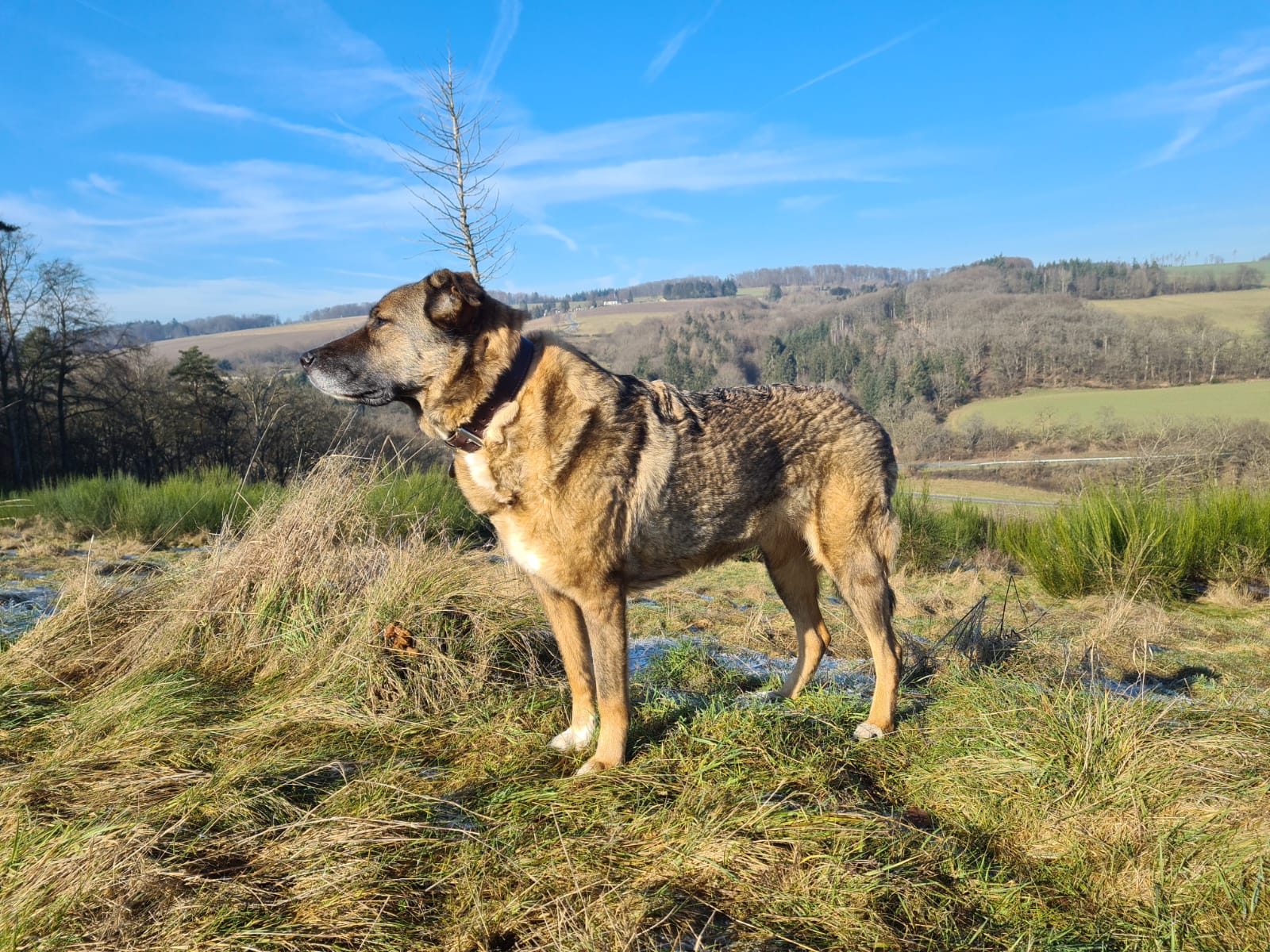 WhatsApp Bild 2025-05-24 um 06.42.35_be1152fb