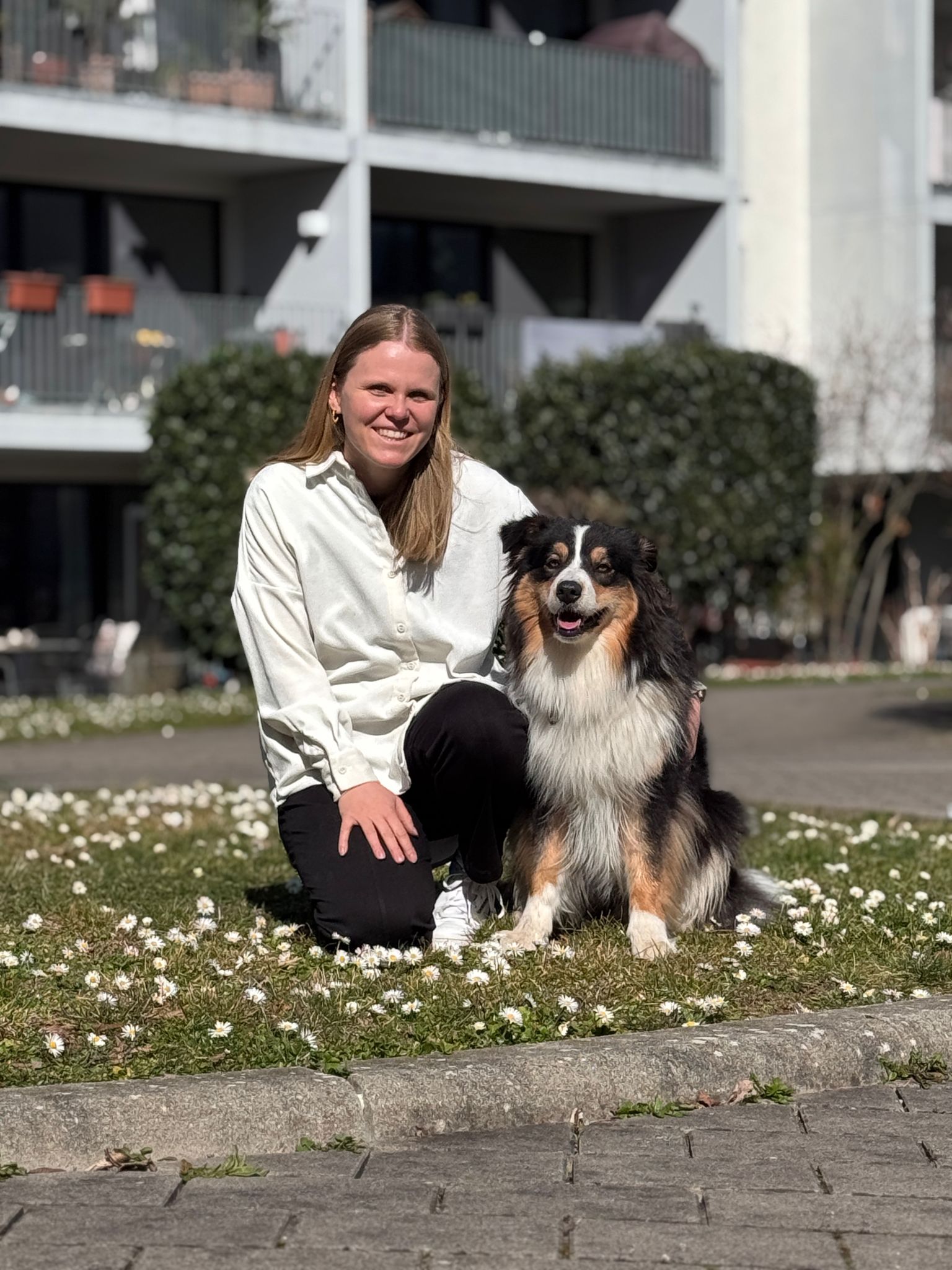 Julia_Braun_Schulhund